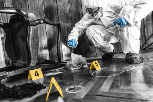 Forensic Investigator Collecting Evidence stock photo