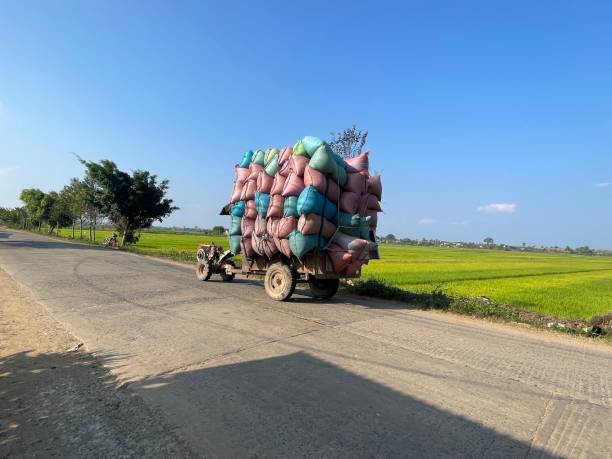 istock Rice field in Daklak, Vietnam 1472747268