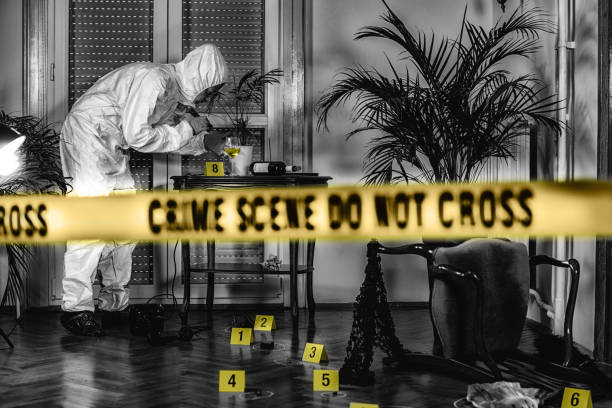 Forensic Science. Police Investigator Collecting Clues stock photo