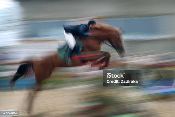 Jump Un Caballo A Través De La Barrera Foto de stock y más banco de imágenes de Accesorio de cabeza - Accesorio de cabeza, Actividad, Aire libre