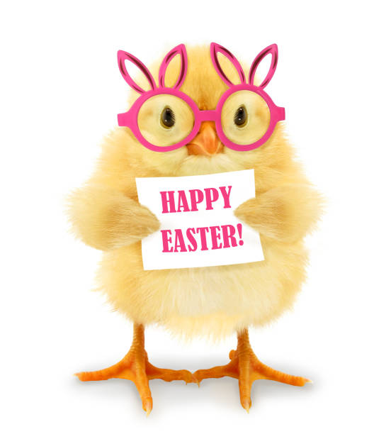 This is a crazy chick with pink bunny rabbit ears glasses congratualtes happy Easter.