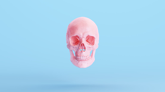 Pink Skull Jaw Soft Pastel Gen Z Blue Background Human Anatomical 3d illustration render digital rendering
