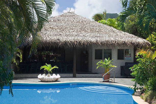 Palm Thatched Hut with Pool Palm Thatched Hut with Pool - Rarotonga, Cook Islands, Polynesia thatched roof hut straw grass hut stock pictures, royalty-free photos & images