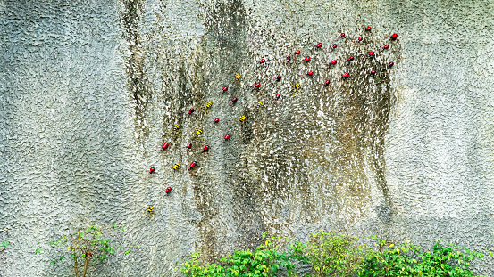 Fake insect decoration at wall in the park background. Walking row of fake colorful insect decorative on concrete wall in the garden.