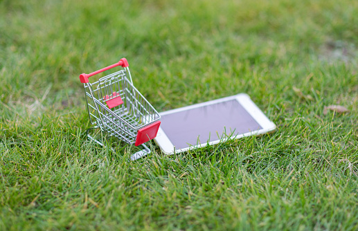 Shopping cart and IPAD on Grass