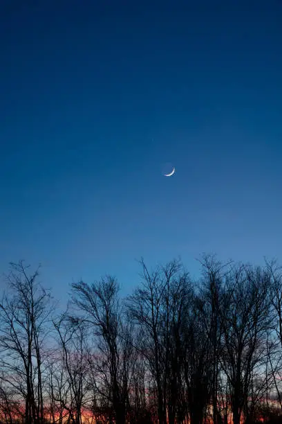 Photo of Planets in conjunction with young Moon above tree countryside silhouettes.