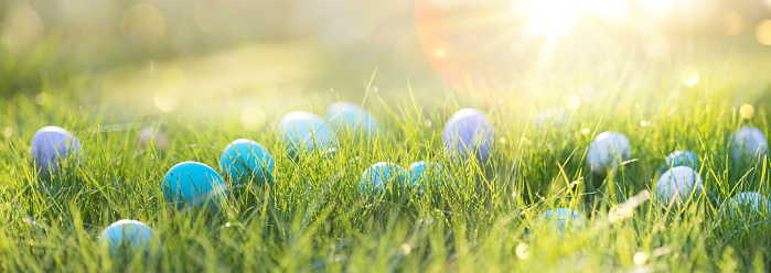 Easter eggs in the grass on a sunny background. Spring natural background