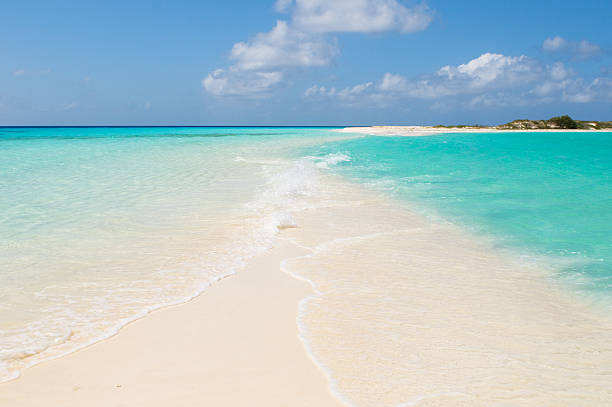 istock tropical beach, los roques islands, venezuela 147275895