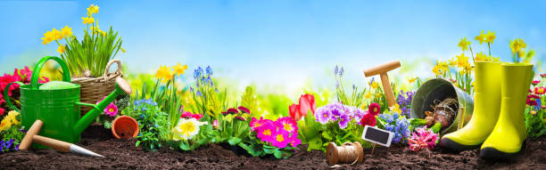 istock Spring flowers with the gardening tools in the garden 1472761020