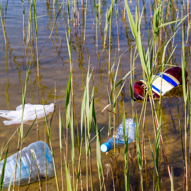 istock garbage in the water among the reeds 1472763838