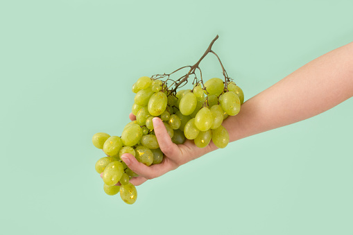 A hand holds a branch of green grapes sprinkled with gold glitter on a mint green background. Minimal autumn concept.