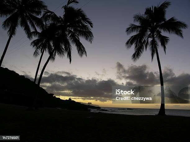 Hawaiian Palms Stock Photo - Download Image Now - Beach, Big Island - Hawaii Islands, Hawaii Islands