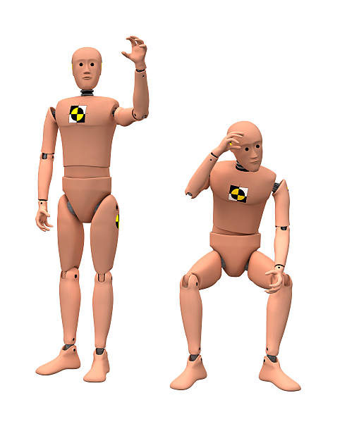 Two naked crash dummies one standing and one crouching Crash dummies in some poses isolated on white. With clipping paths. 3D image crash test dummy stock pictures, royalty-free photos & images