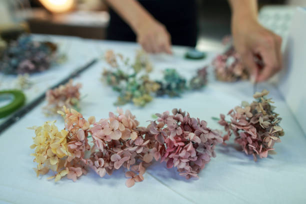 istock A female florist is making a wreath with hydrangeas 1472772581