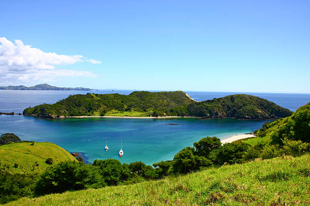 Bay of Islands, New Zealand lonely bay bay of islands new zealand stock pictures, royalty-free photos & images