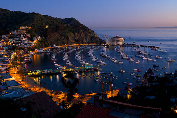 istock Catalina Island - Avalon Harbor View at Sunrise 147277565
