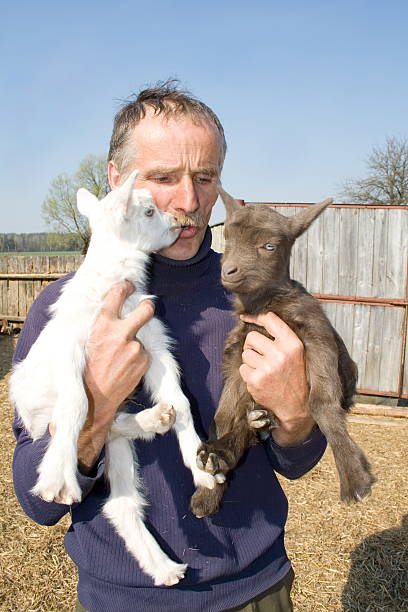 istock The farmer with goatlings. 147278280