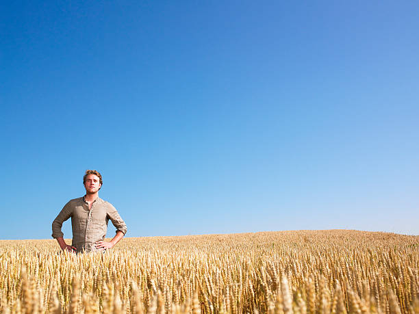 Free Stock Photo of Man Standing in Tall Grass Field | Download Free ...