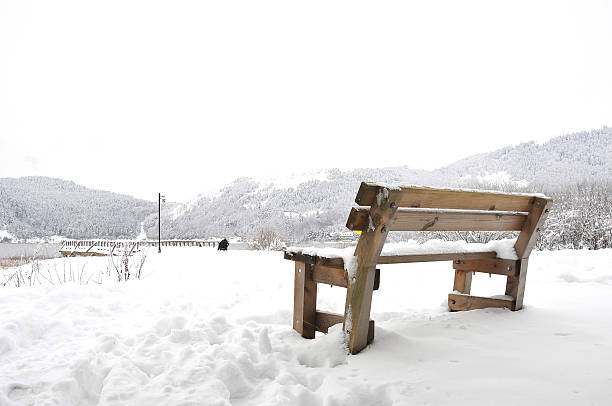 istock wood bench and winter 147278424
