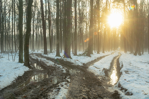 Glow of the sun with winter forest and muddy road fork, eastern Poland