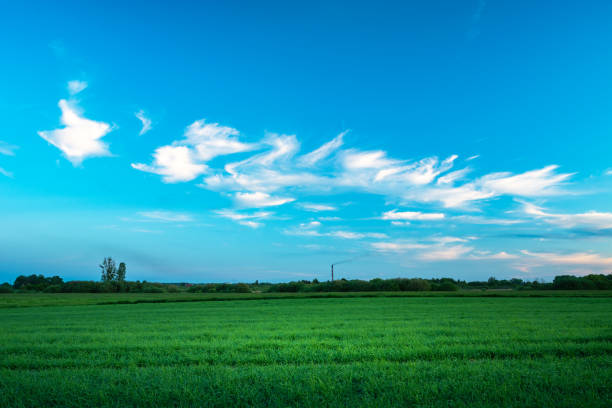 istock Small ethereal clouds in the blue sky over the green field 1472786639
