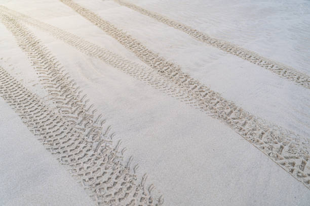A quiet beach by the sea