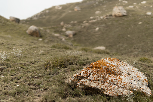Big grey rough stone with orange lichen, cracks, splits on dim green dry grass slope, closeup, blur in frowning dull summer day in mountains. Mountain valley texture, background.