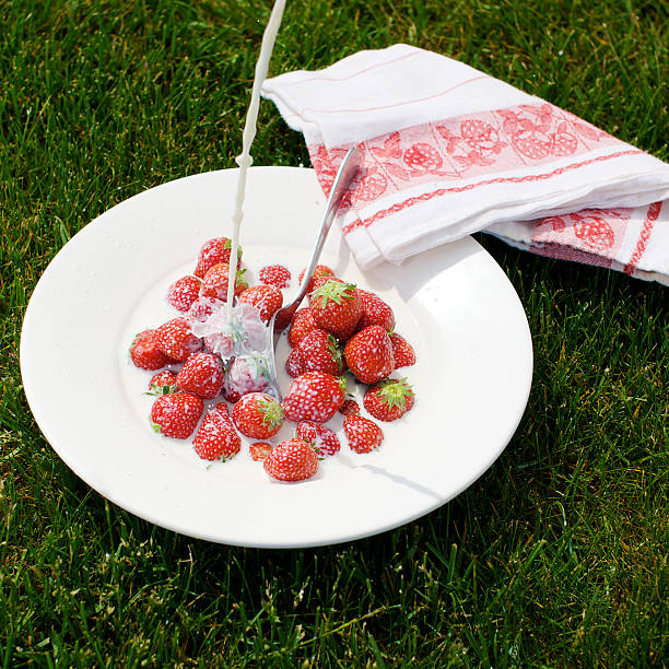 Traditional Japanese dessert plump expensive strawberries on plate at wooden table in kitchen with two tea cups, teapot with green tea in blurred background