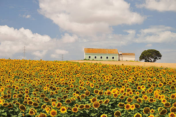 hacienda stock photo