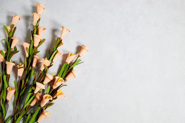 Photo of orange calla lilies on gray background with copy space