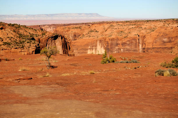 istock Autumn in The Canyon De Chelly 1472797532