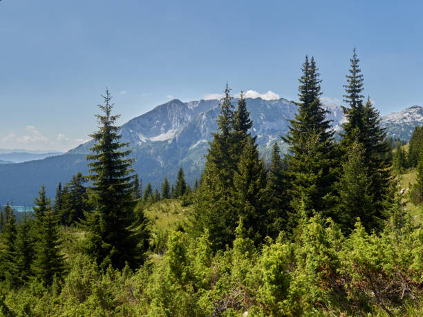 istock Landscape in Durmitor National Park. Montenegro 1472798402