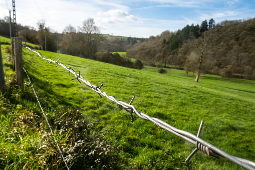 Barbed wire and green field. Private territory. Fencing for animals