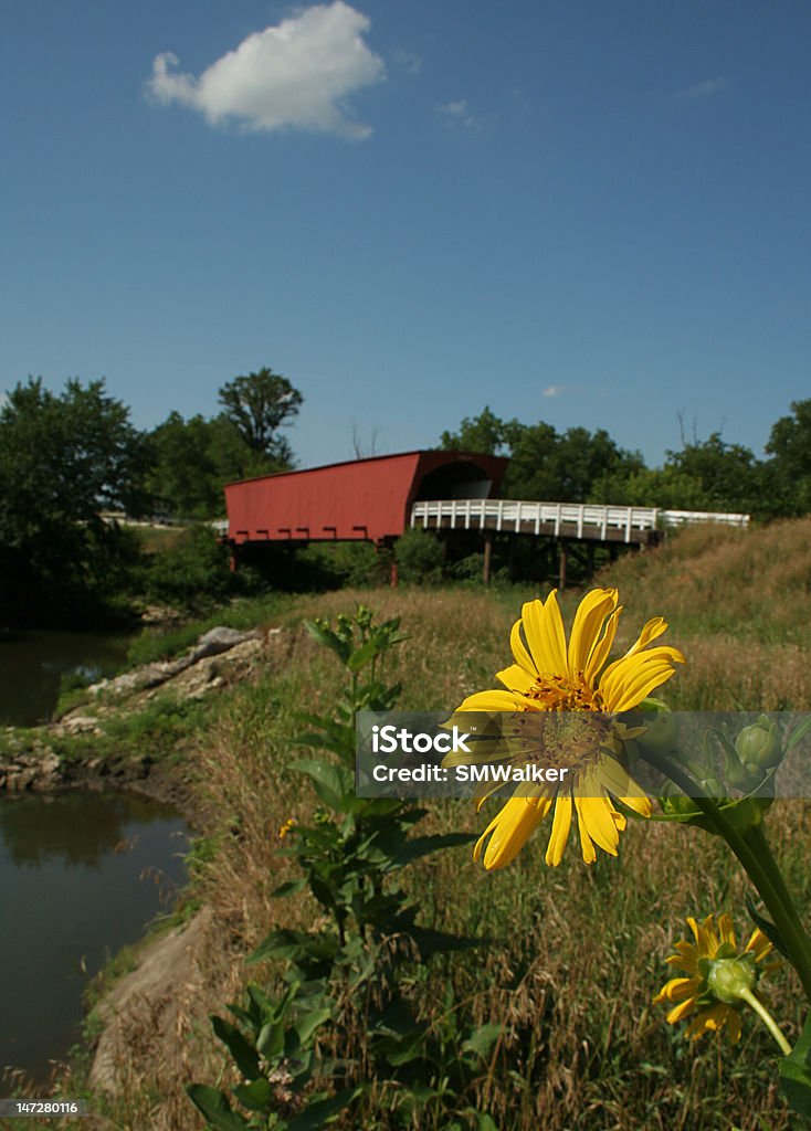 Roseman Ponte Coberta em Madison 3 - Royalty-free Iowa Foto de stock