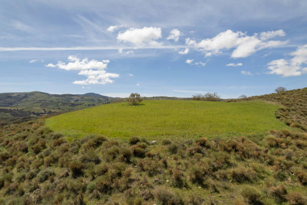 istock cereal cultivation in the mountains 1472801356