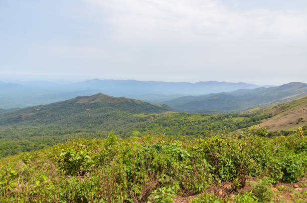 istock Mullayangiri range of mountains in Chikmagalur, India 1472802290