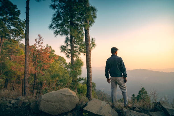 el joven mira la vista del atardecer de pie sobre una roca en la montaña. - contemplation silhouette tree men fotografías e imágenes de stock