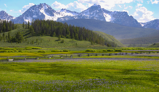 Summer in the Sawtooth National Recreation Area