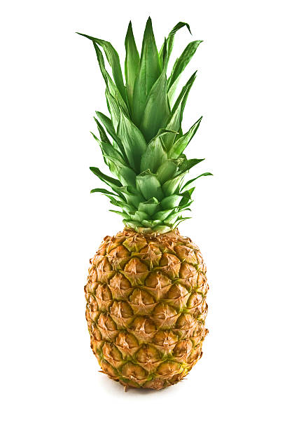 piña - pineapple sour taste full tropical climate fotografías e imágenes de stock