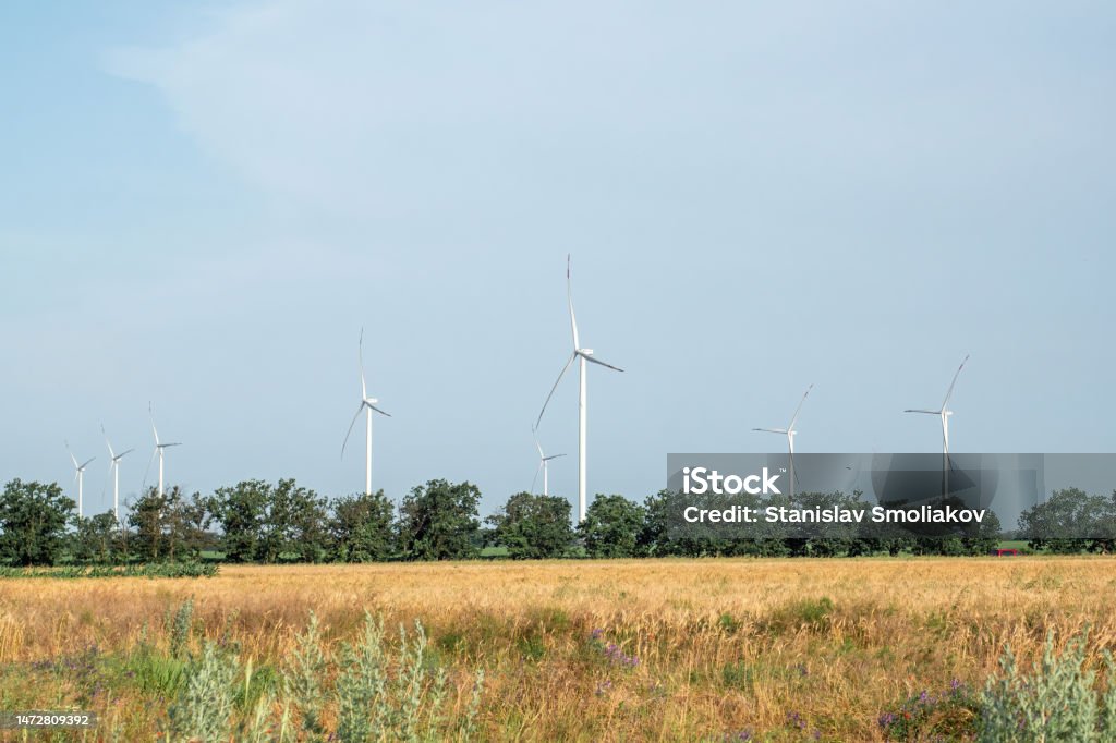 Ecofriendly windmills recreate energy on agricultural farm Ecofriendly windmills produce renewable energy. Wind turbines recreate clean energy with power of wind for using at agricultural farms Agricultural Field Stock Photo