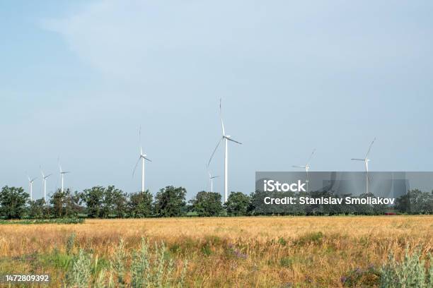 Ecofriendly Windmills Recreate Energy On Agricultural Farm Stock Photo - Download Image Now