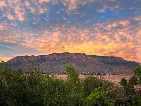 The beautiful surroundings of South Mountain Park, Phoenix, Arizona located in the Southwest USA. The park is home to the famous saguaro cactus which is a world famous symbol for the Western United States.