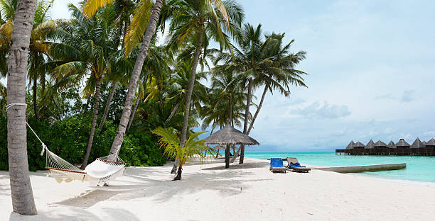 istock Panorama of tropical island resort 147281267