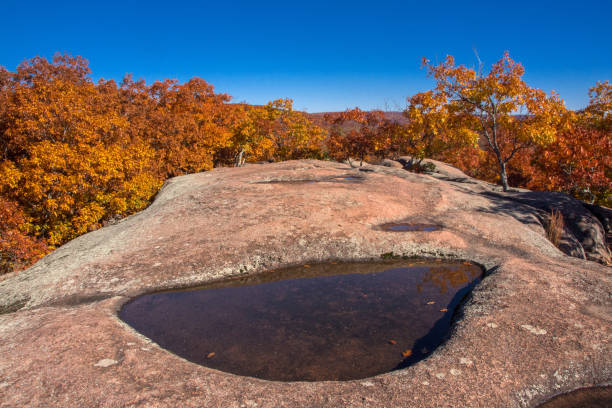 istock Elephant Rocks SP - Large Pothole in Granite 1472813537