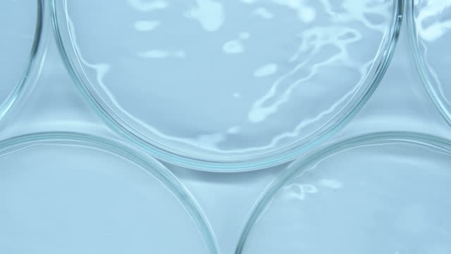 Petri dish with clear liquid.