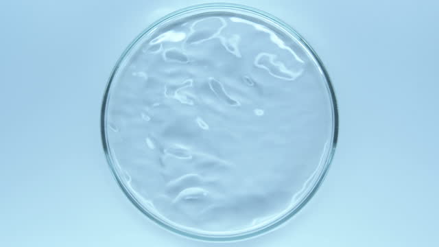 Reflection of light from surface of water. Petri dish.
