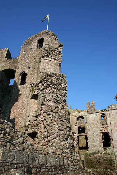 istock Bright Blue Skies over Raglan Castle 147281509