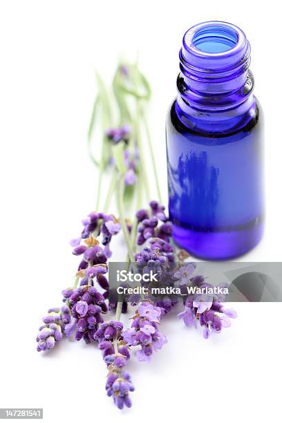 Lavanda Aceite Esencial Foto de stock y más banco de imágenes de Color lavanda - Color lavanda, Lavanda - Planta, Aceite de aromaterapia