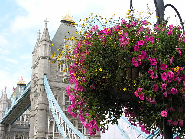 istock Flowers at London Bridge 147281815