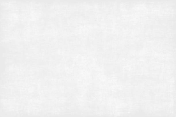 Background White Light Grey Total Grunge Abstract Concrete Cement Wall Paper Texture Platinum Grey Color Sparse Modern Pattern Copy Space Background White Light Grey Total Grunge Abstract Concrete Cement Wall Paper Texture Platinum Grey Color Sparse Modern Pattern Copy Space Design template for presentation, flyer, card, poster, brochure, banner light concrete texture stock pictures, royalty-free photos & images